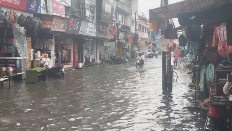 IMG_20250811_12481511