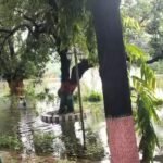 IMG_20250831_14420721