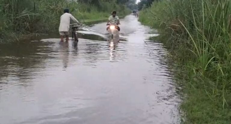 Screenshot_2025-08-06-15-02-55-40_92460851df6f172a4592fca41cc2d2e6