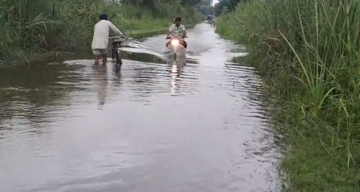 Screenshot_2025-08-06-15-02-55-40_92460851df6f172a4592fca41cc2d2e6